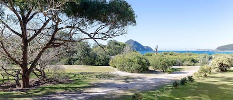 Eine Küstenlandschaft mit einem markanten Baum, einem Feldweg und Blick auf das Meer und ferne Berge.