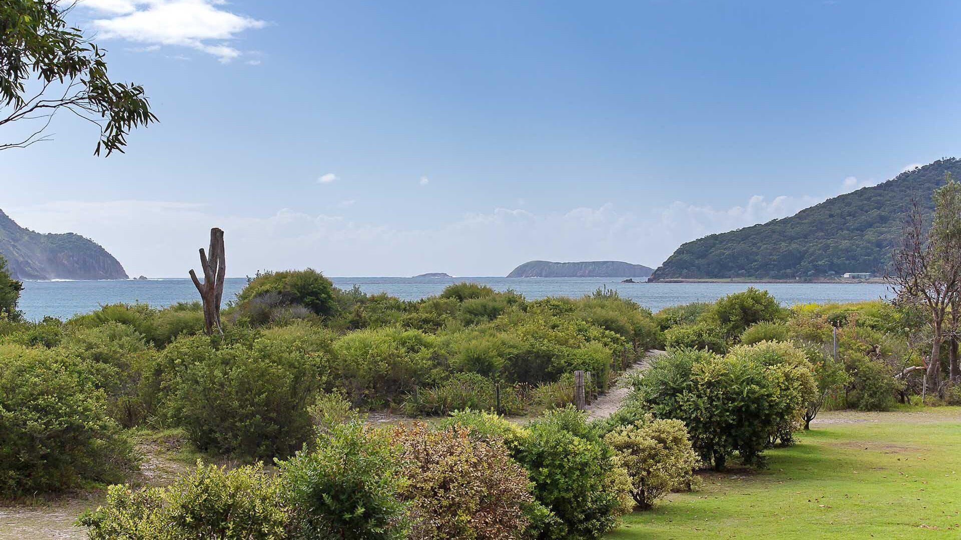 Paisaje costero con vegetación exuberante, cielo despejado y mar tranquilo.