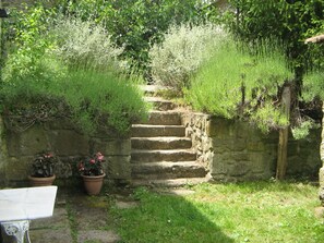 Property grounds - Cantina Di Bacco: Charming Cottage, Shared Pool And Valley Views near Florence (Londa)