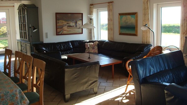 TV, fireplace, DVD player, ping pong