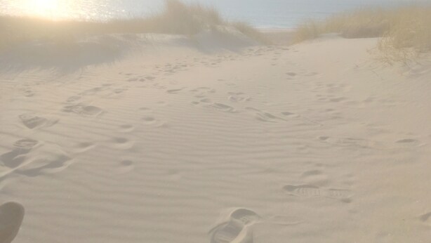 A sandy beach with footprints leading towards the ocean. - Wunderbares Haus nur 20 Meter vom Wasser mit riesengroßes Grundstück! Herrlich. (Dänemark)