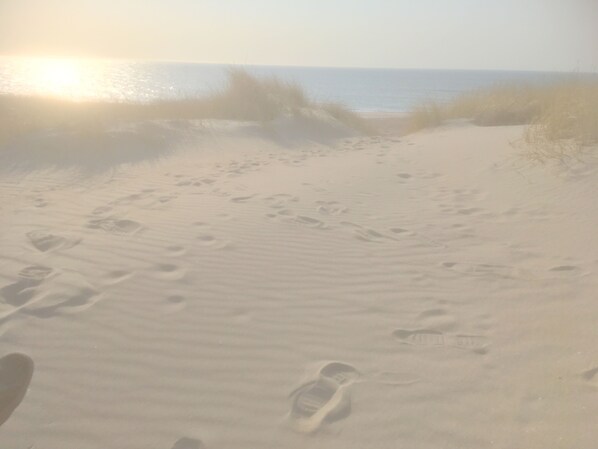 Nær stranden og solsenger