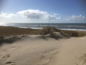 Plage à proximité, chaises longues