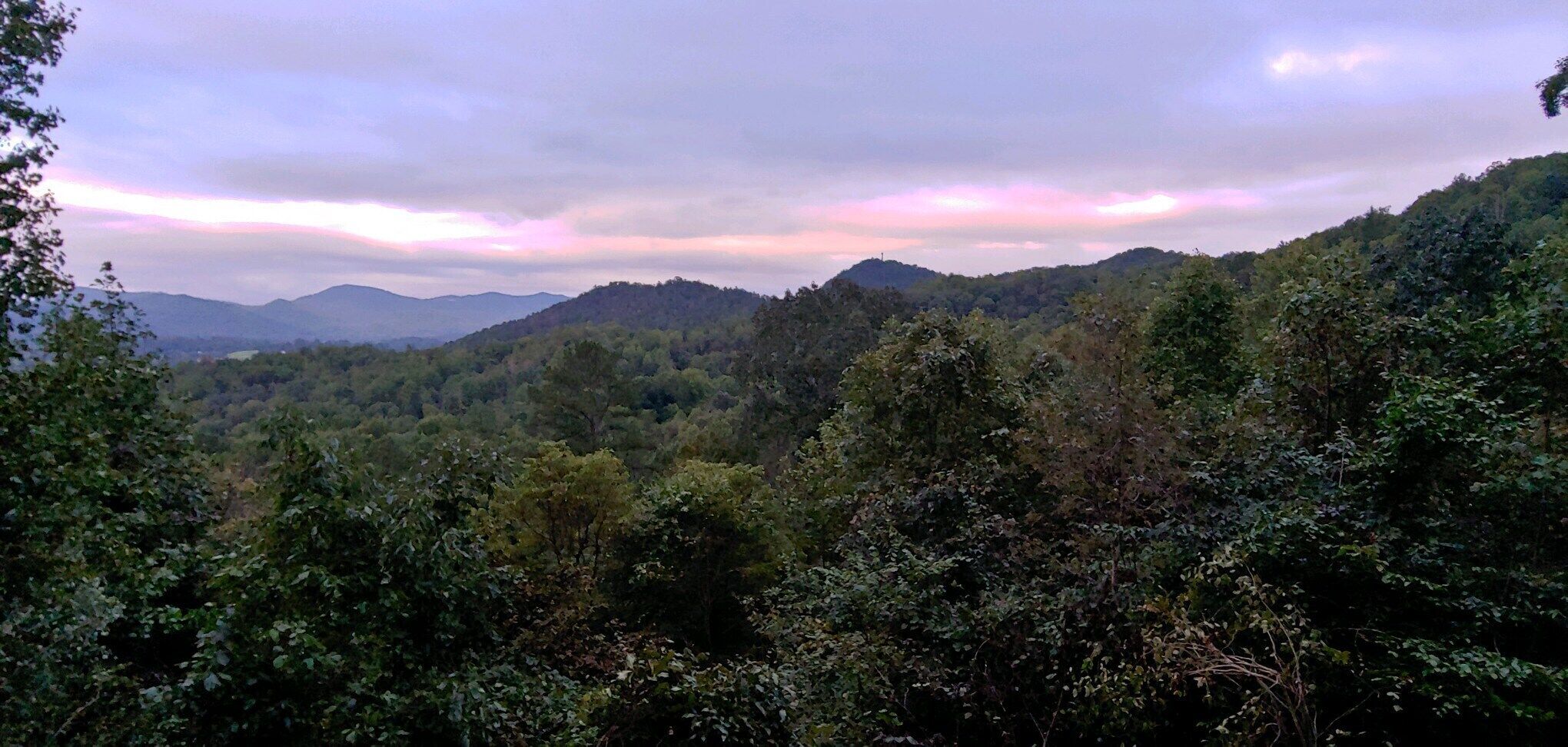 Un paisaje montañoso con un bosque denso.
