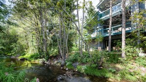 Un edificio moderno con fachada de vidrio, rodeado por un bosque frondoso y un arroyo.