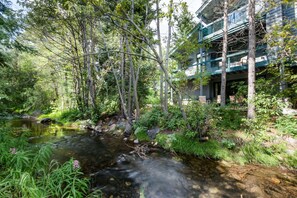 Escape to a serene retreat surrounded by lush greenery and a tranquil stream.