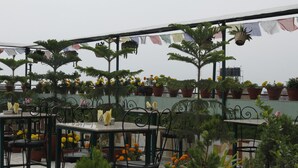 Une terrasse extérieure avec des tables et des chaises, entourée de plantes et de fleurs en pot.
