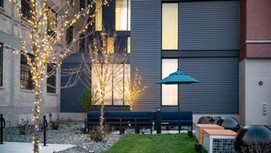 A modern building with a courtyard featuring outdoor seating, a tree with lights, and a bench. - Hotel Indigo Madison Downtown by IHG (Madison)
