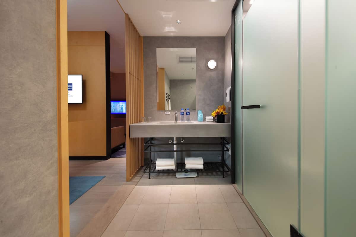 Shower, hydromassage showerhead, free toiletries, hair dryer