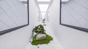 Un couloir avec une allée centrale, des murs blancs et une verrière.