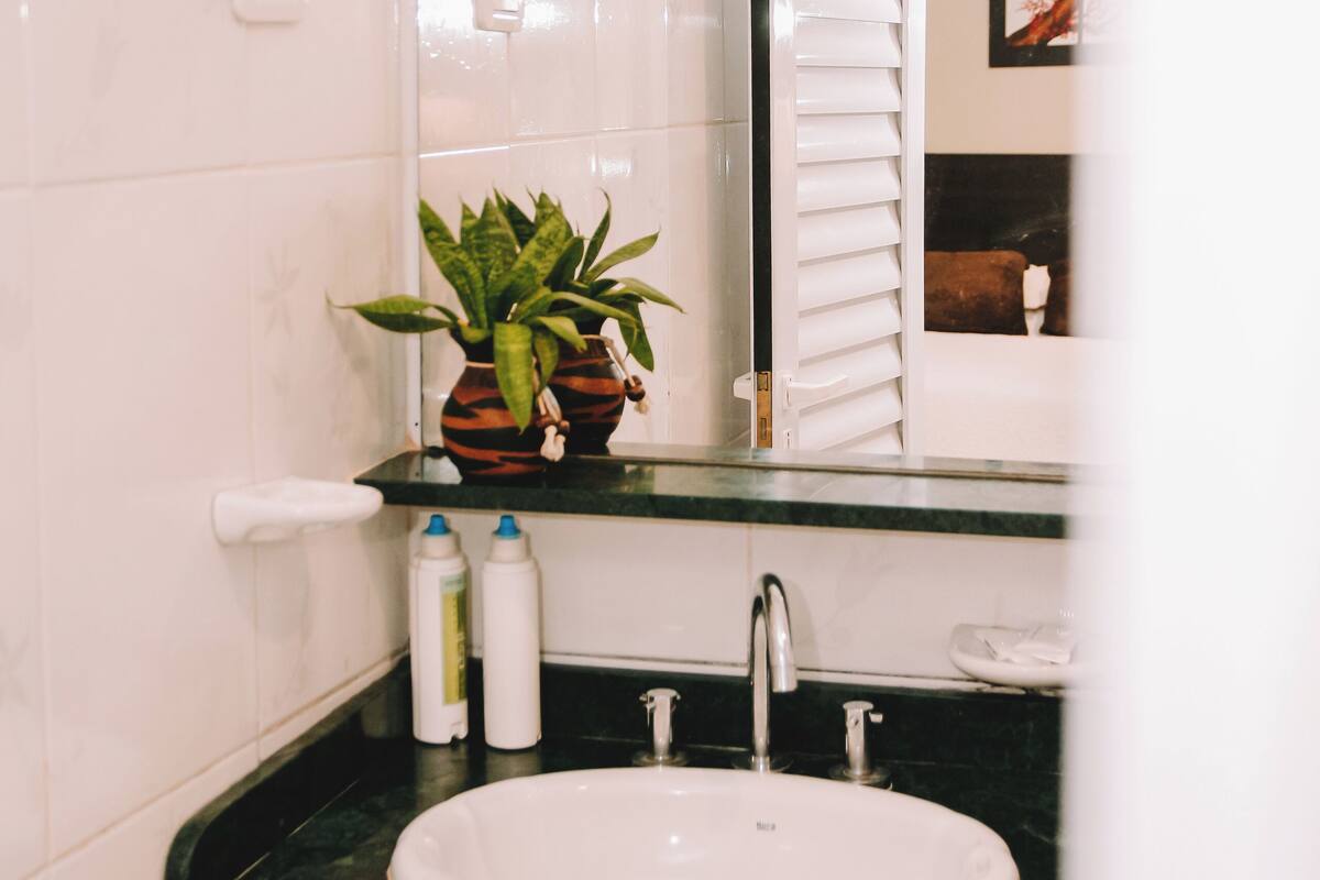 A bathroom with a white sink, a mirror, and a potted plant.