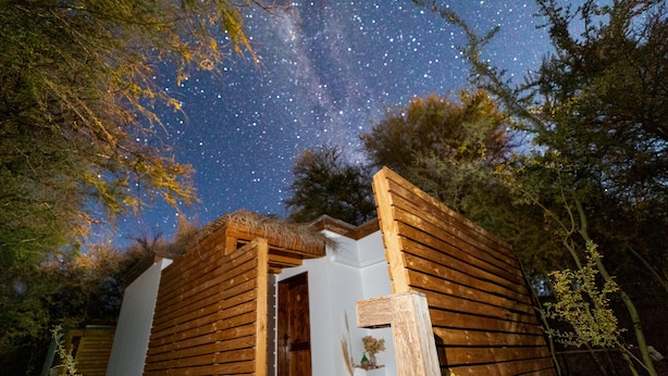 A wooden cabin with a thatched roof, surrounded by trees, under a starry night sky.