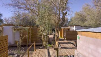 Un patio con estructuras de madera, un árbol central y un sendero de madera.