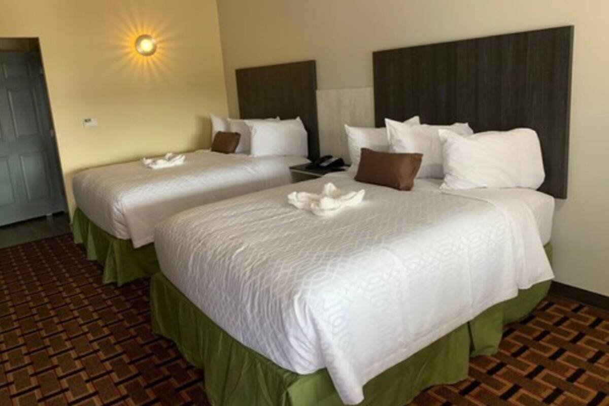 Habitación de hotel con dos camas, cada una con ropa blanca y cubrelechos verdes. Hay una mesita de noche con lámpara entre las camas.