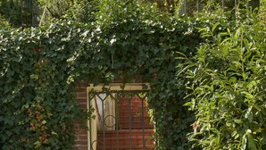 An outdoor patio with a brick wall, a metal gate, and a table set with glasses and a bottle. - Design Hotel Zur Abtei (Aachen)