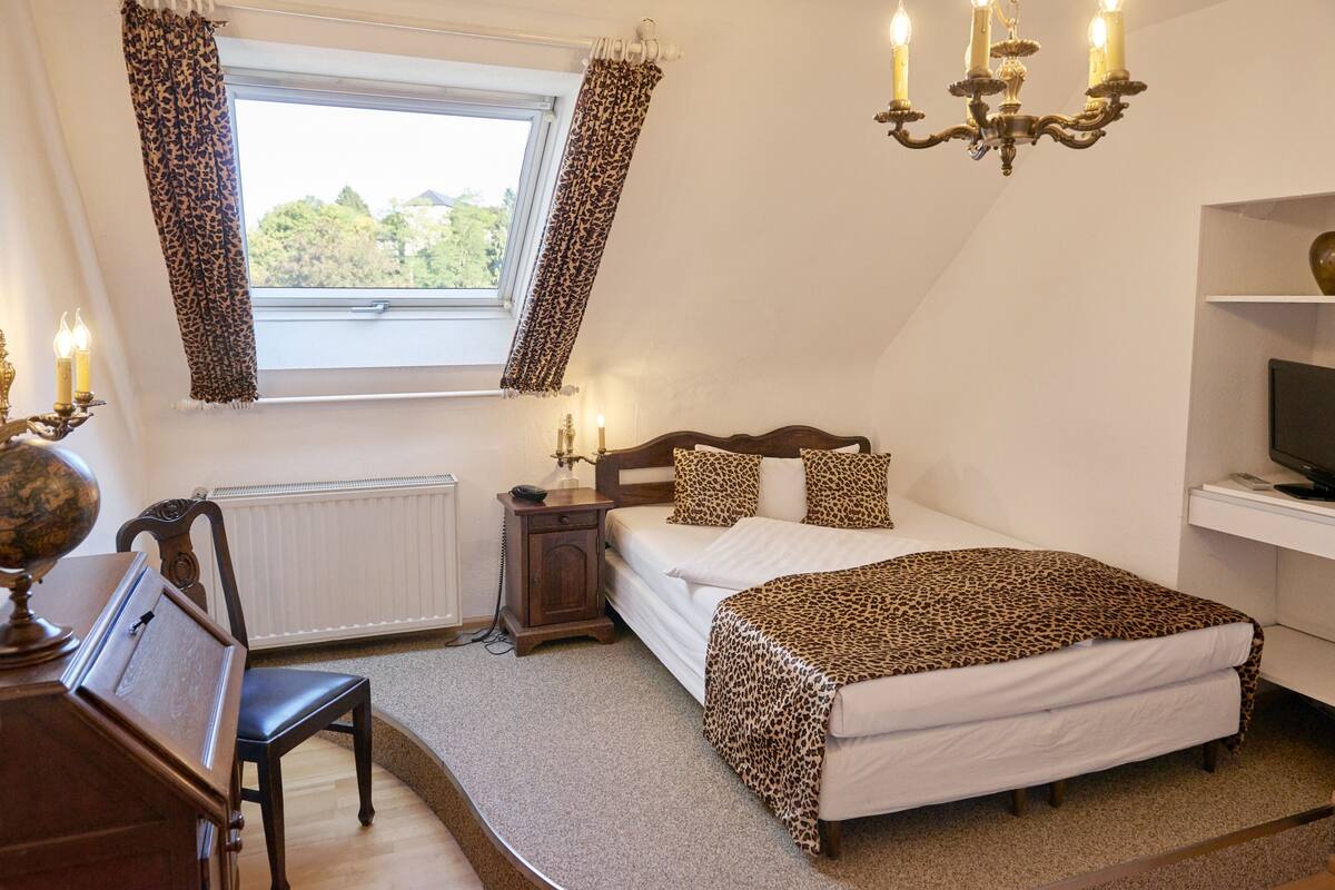 A bedroom with a bed, a desk, a chair, a globe, a radiator, a window with curtains, a chandelier, and a television on a stand.