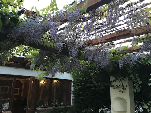 The Cottage Inn Hotel