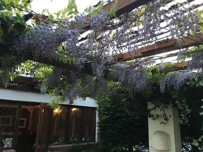 The Cottage Inn Hotel