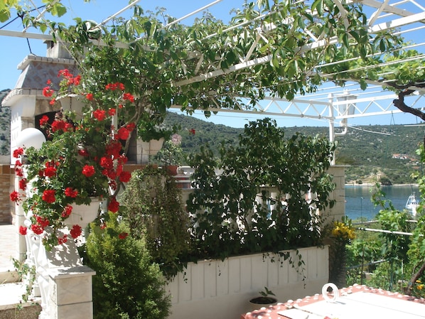 Terrace/patio - Green Paradise With Magnificent View (Marina)