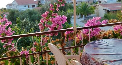 Green Paradise With Magnificent View