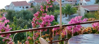 Green Paradise With Magnificent View