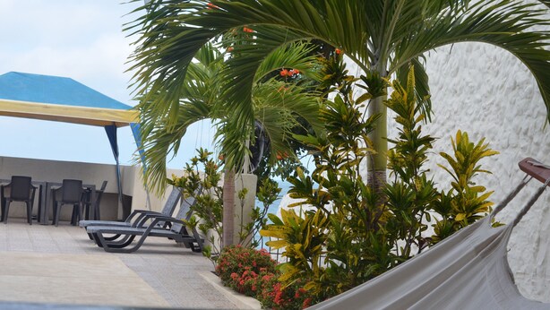 Garden - Hotel Paradise Beach (Playas)