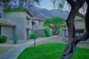 Exterior - The Greens and Ventana Canyon 3115E (Tucson)