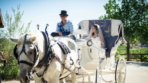 Outdoor wedding area - Temecula CoachHouse (Temecula)