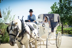 Outdoor wedding area - Temecula CoachHouse (Temecula)