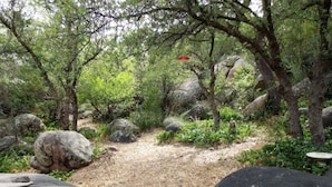 Parco della struttura