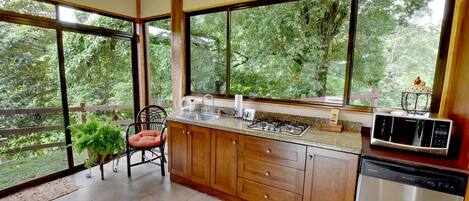 Réfrigérateur, micro-ondes, plaque de cuisson, lave-vaisselle