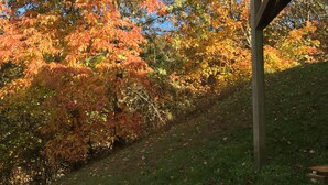 Une terrasse en bois dotée d’une balustrade, qui donne sur une zone herbeuse parsemée d’arbres aux feuilles d’automne aux couleurs flamboyantes.