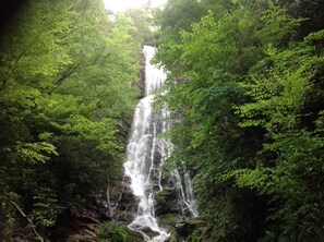 Une cascade entourée d’une végétation luxuriante.