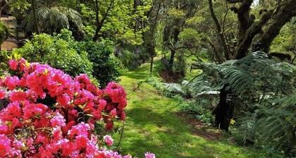 Mount Tomah Huntington Cottage - ¡Escápese del calor del verano!