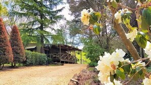 Un camí de grava que condueix a una construcció de fusta amb un porxo cobert, envoltat d'arbres i plantes florejants.