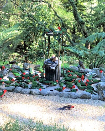   Mount Tomah Huntington Cottage - Peaceful and beautiful retreat 