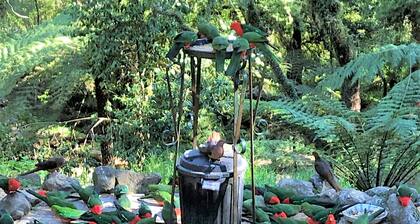 Mount Tomah Huntington Cottage - Peaceful and beautiful retreat