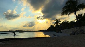 Una playa con un muro de piedra, palmeras y un atardecer.