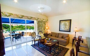 Televisión, reproductor de DVD y libros 