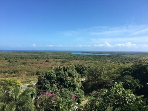 Botón de imagen sin clasificar, 5 de 51