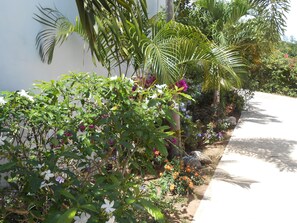 Property grounds - Amazing Caribbean views! (BO Lujan,)