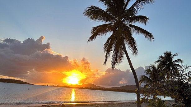 A beach with a palm tree and a sunset over the water. - Amazing Caribbean views! (BO Lujan,)
