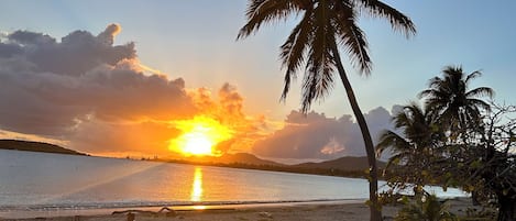 Nær stranden, solsenger og strandhåndklær