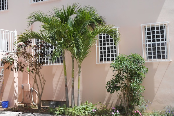 Àrea exterior de l'allotjament