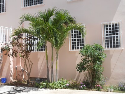 Amazing Caribbean views!