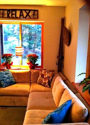 Flat-screen TV, fireplace, books, music library