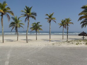 بالقرب من الشاطئ