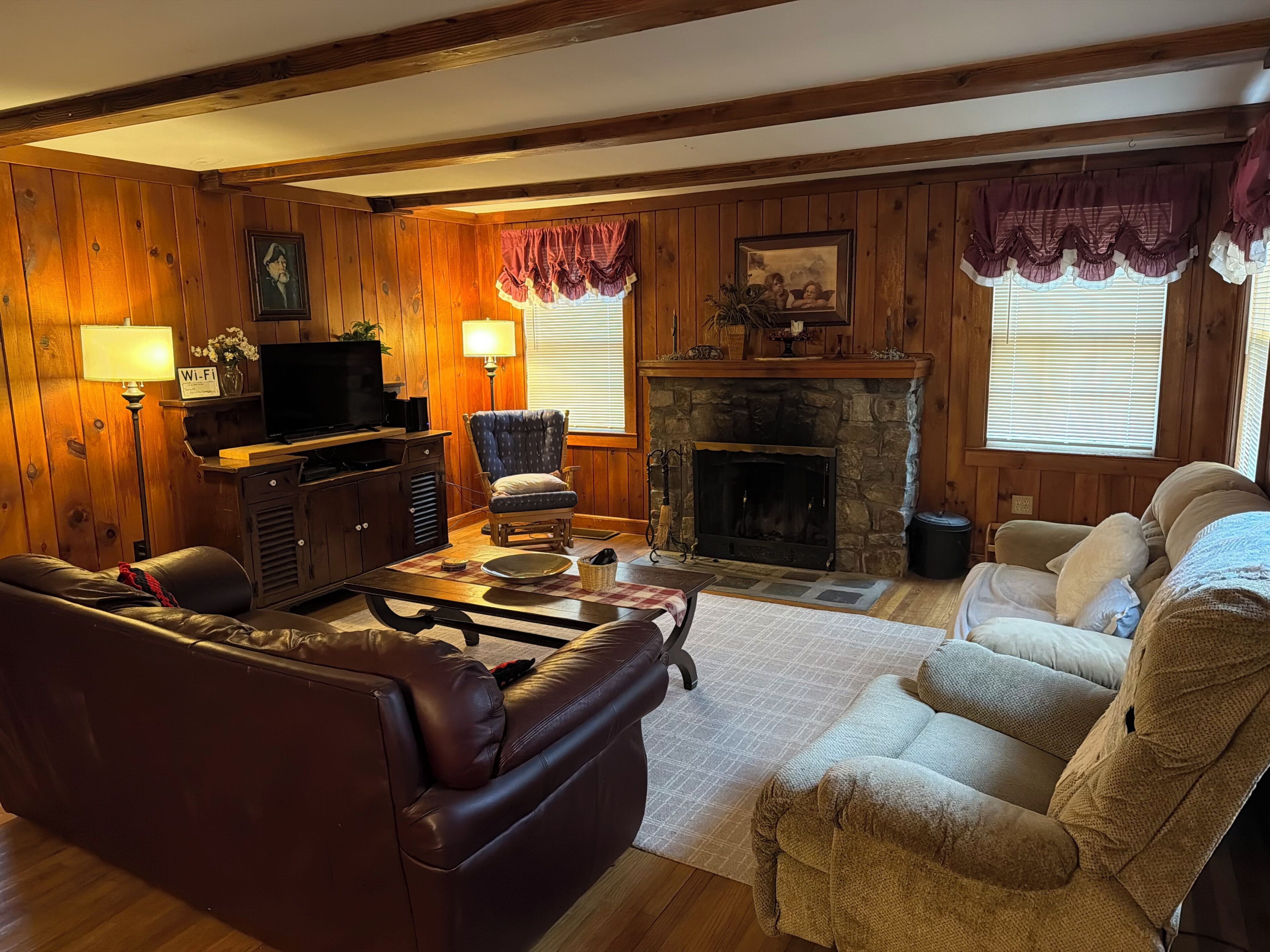 Télévision, cheminée, jeux vidéo, lecteur de DVD