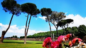 Un parc avec des arbres et des fleurs.