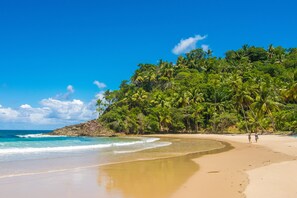 In Strandnähe, Sonnenschirme